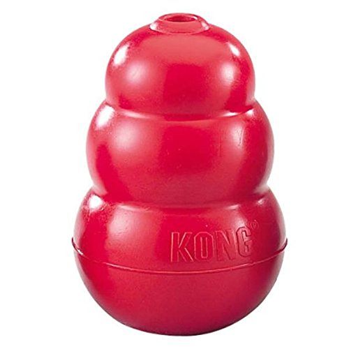 Kong helps with aggression behavior and anxiety.