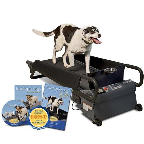 Affordable Dog Treadmill