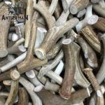 Natural Antler chews get a five star rating.