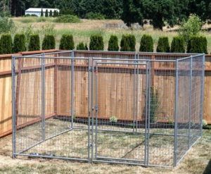 Outdoor Dog Kennel for Large Dogs