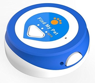 Small blue tracking device dog's collar.
