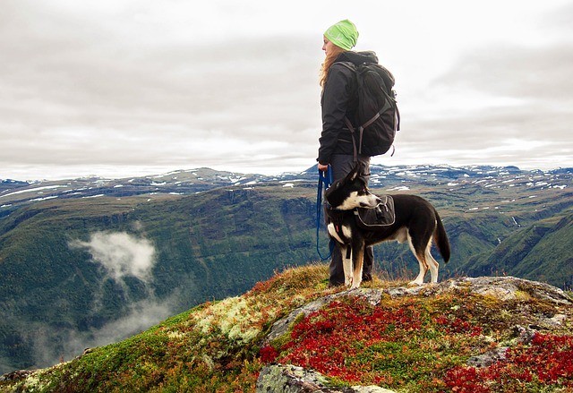 Where to hike with your dog