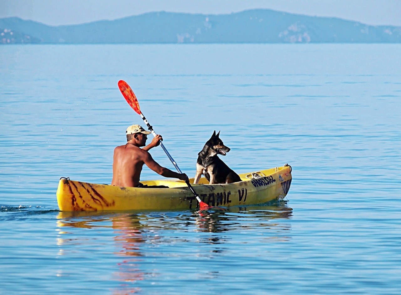 Kayaking with a dog on a lake in a canoe.