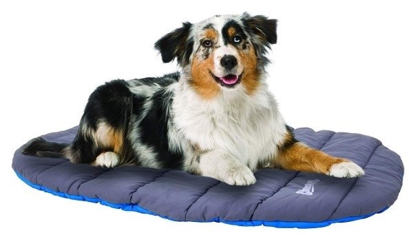 Australian Shepherd camping and resting on his tent camp comfy travel bed