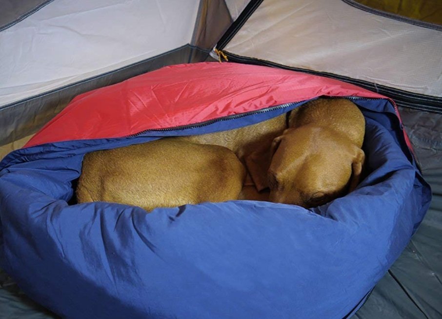 Dog camping bed perfect for Backpacking, Camping Trips, Hunting Trips,