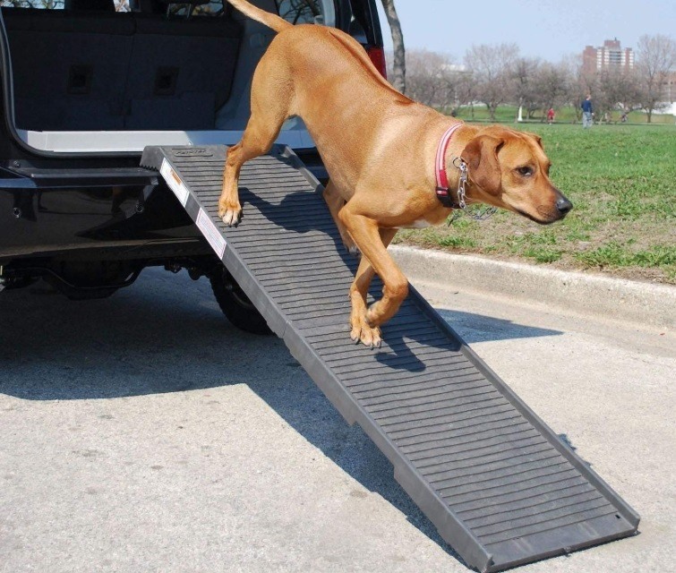 Dog ramp for putting a big dog into my truck