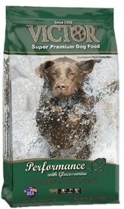 Dog Food with high levels of protein and energy