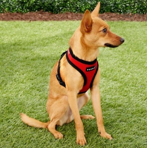 Puppia Dog Harness for Small Dogs
