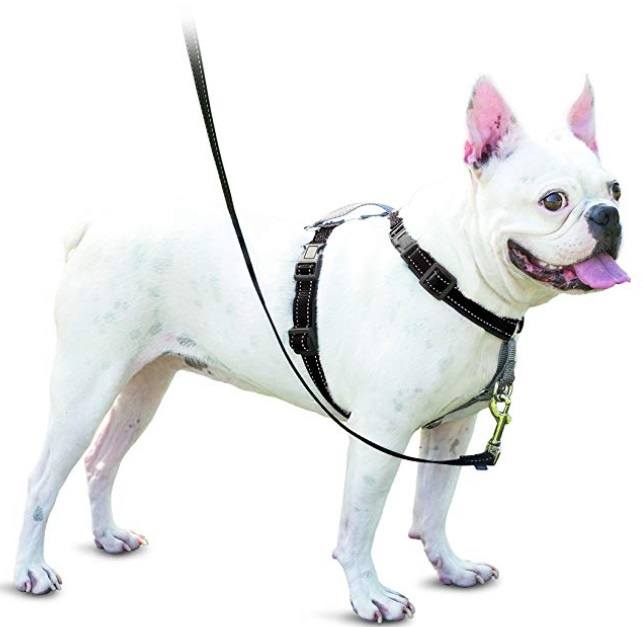 Comfortable and Safe Dog Harness