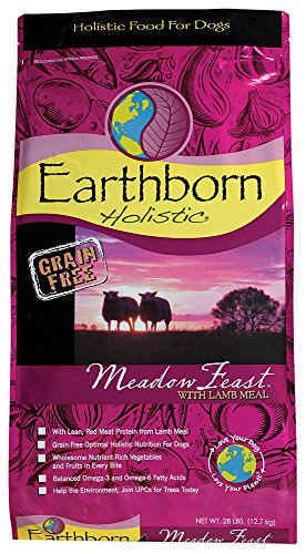 Earthborn Holistic Meadow Feast with Lamb Meal