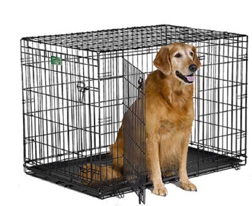 MidWest iCrate Double Door Fold & Carry Dog Crate