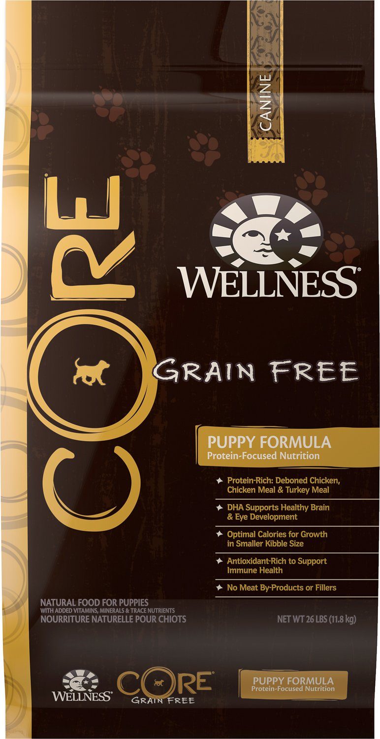 Wellness Puppy Food Review