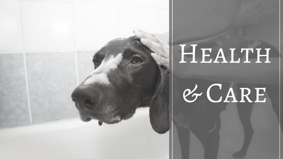 Pet Health Care and Grooming
