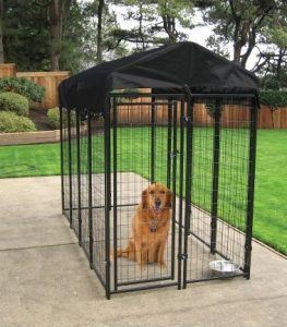 Protective cover to keep pets dry during rain or snow events.