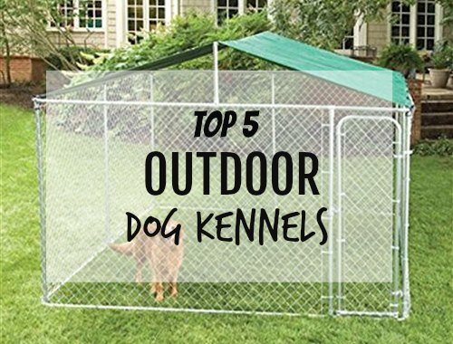 Outdoor Dog Kennels Reviews