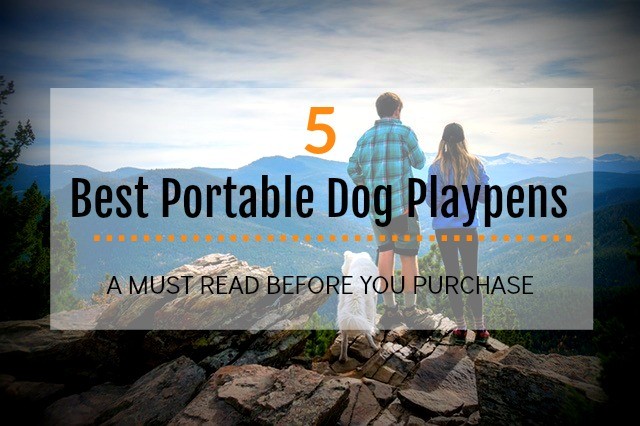 Best Playpens for Puppies and Dogs Reviews