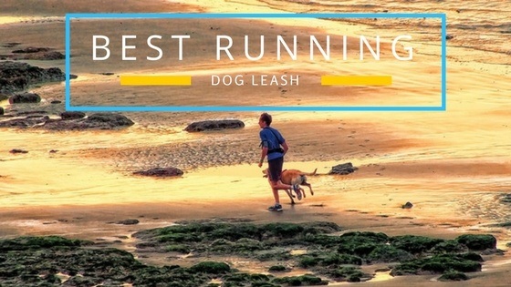 A man jogging with his dog on the beach