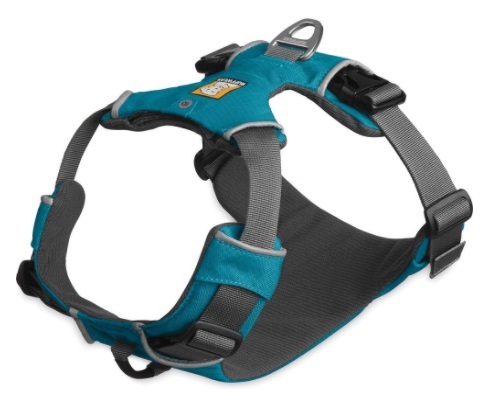 A harness and leash for running with your dog