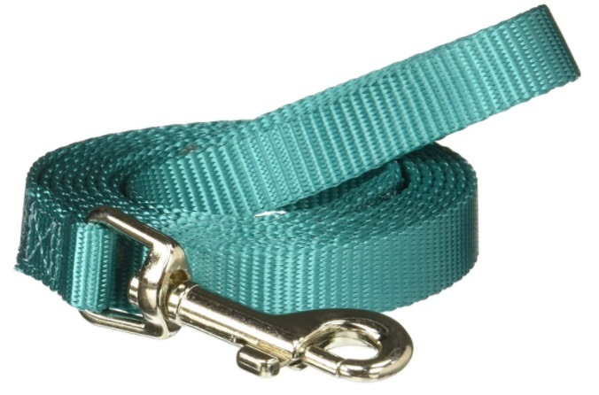 A basic blue nylon dog jogging leash