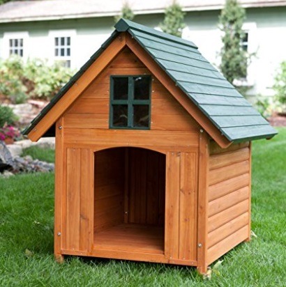 Wooden Large Outdoor Dog House with Apex Roof and Window