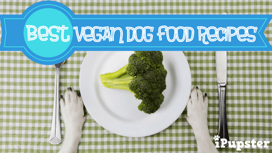 Best Vegan Dogs Foods and Recipes