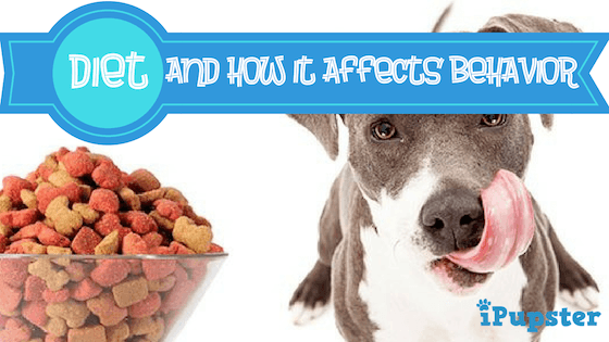 Sudden change in dog's behavior after food