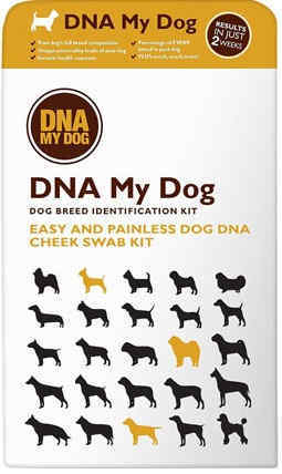 3. DNA My Dog Breed Identification Test REVIEW