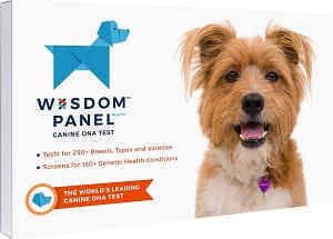 Wisdom Panel Health Canine breed and disease review