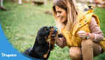Dog Insurance Coverage for Rottweilers