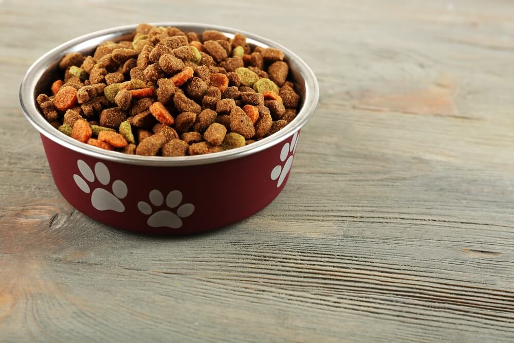 A bowl of dry dog food kibble