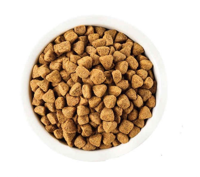 The Best Dry Dog Foods [2022 Reviews and Ratings