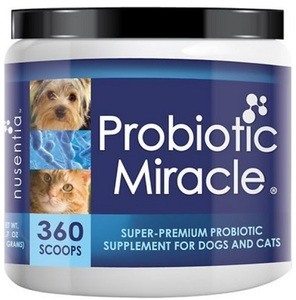 Probiotic Miracle for dogs
