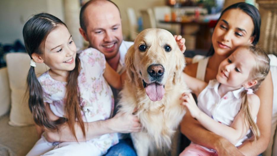 Happy family sitting together with their Golden retriever pet
