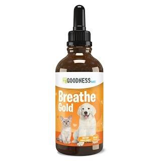 Kennel Cough Remedy for Dogs