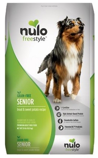Treat your senior dog to a superior nutrition plan