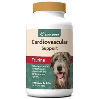 Should you give dogs taurine supplements?