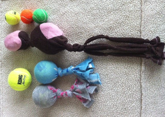 DIY Sock with  a Ball Dog Toy