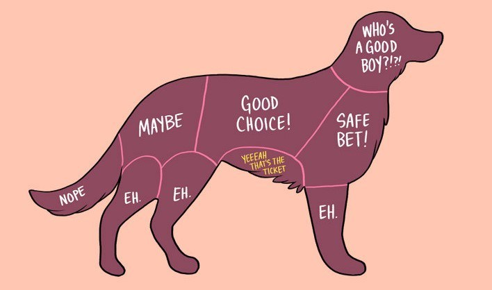 Diagram showing the body part areas where you can safely pet a dog 