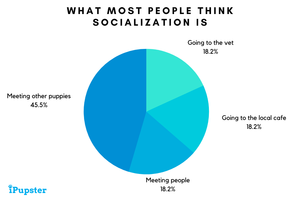 Graph showing what most people dog socializing looks like
