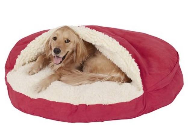 A golden retriever simply in love with this red colored cozy cave bed