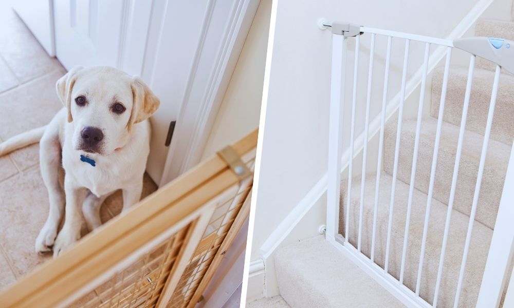 7 Best DIY Pet Barrier Gate Plans for Free (Ultimate Guide)