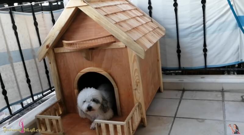 How to build a dog house with a balcony