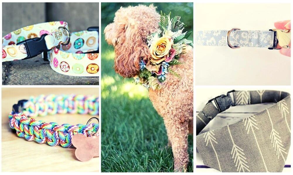 How to make your own diy dog collar