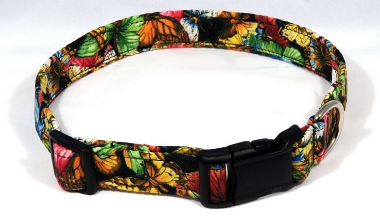 A brightly colored fabric dog collar