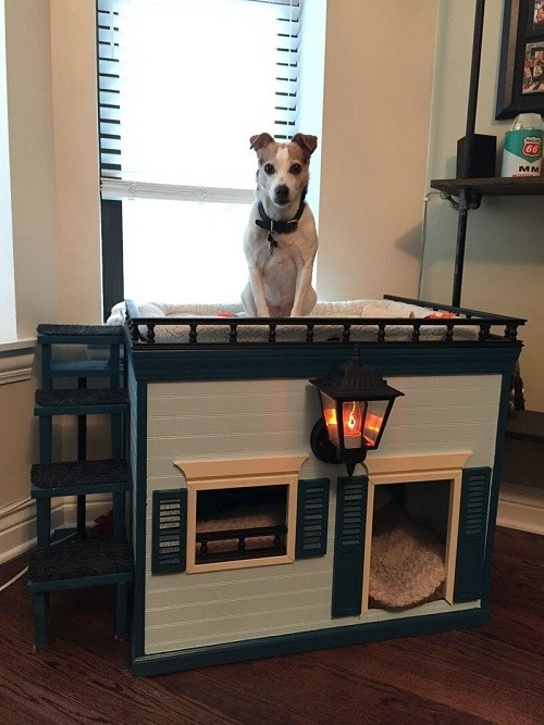 Cool Indoor DIY Dog House Plans