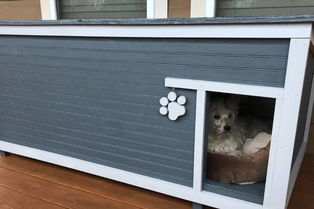 How to build an insulated dog house