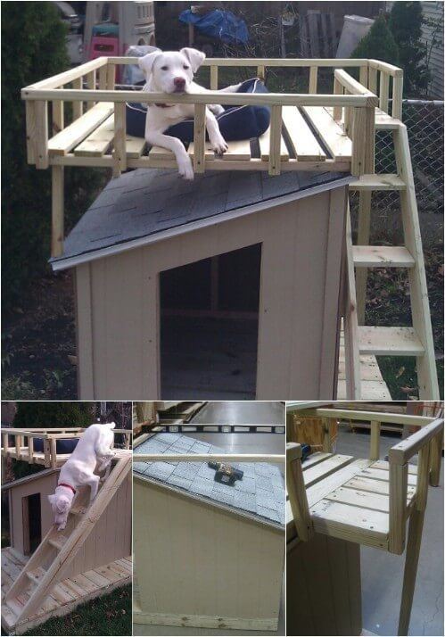 Dog house with roof deck