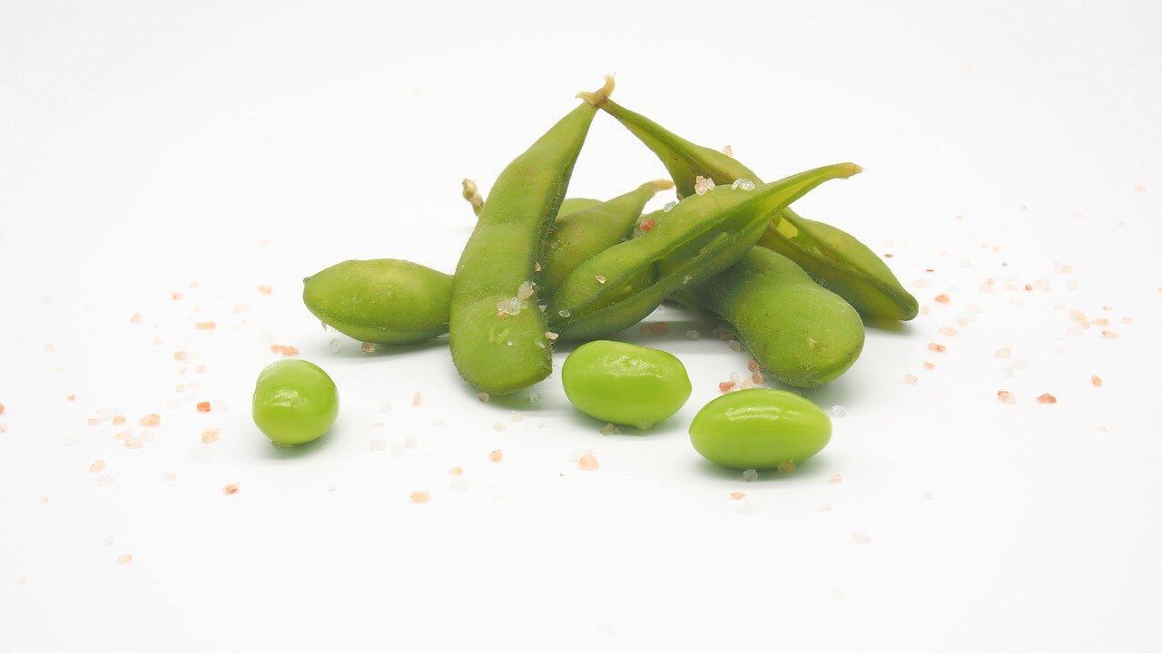 Fresh, green edamame beans in its raw state