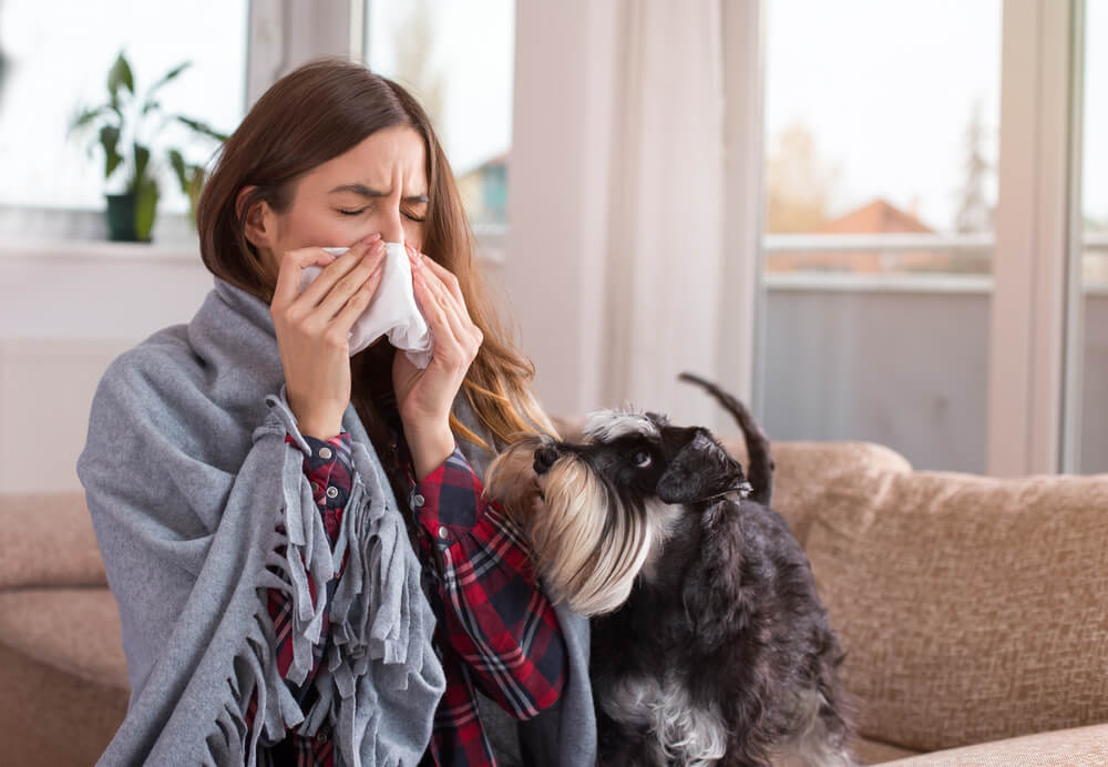 Dogs and Colds - Can Dogs Get Colds?