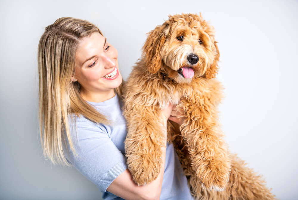Woman holding a golden Labradoodle puppy